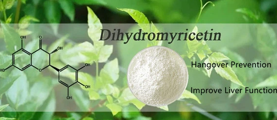 Cognitive Effects of Dihydromyricetin.png